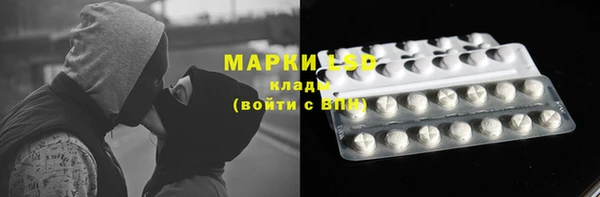 apvp Алексин