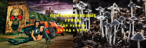 apvp Алексин