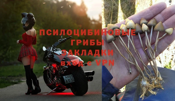 МДПВ Абинск