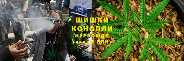 амф Алзамай