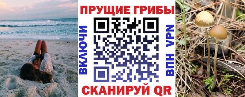 дарнет шоп  Кызыл  Галлюциногенные грибы прущие грибы 